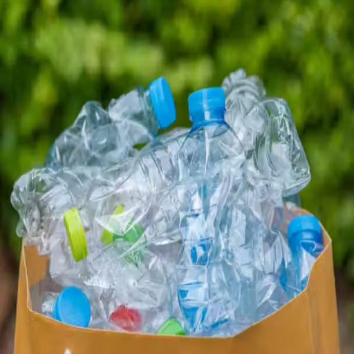 Future Projections: The State of Plastic in 2050