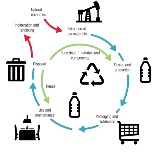 Lifecycle of Plastic: From Creation to Disposal