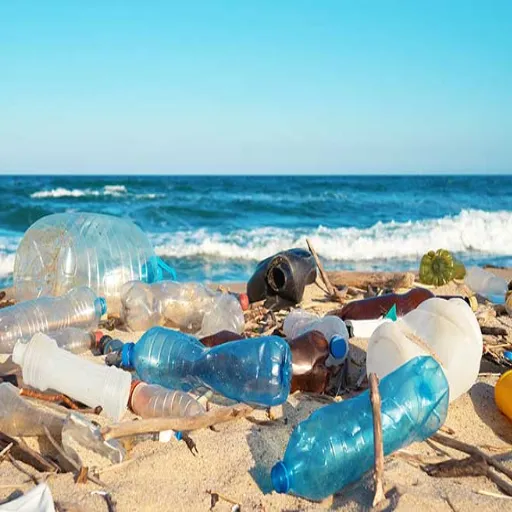 Environmental Impact and Sustainability