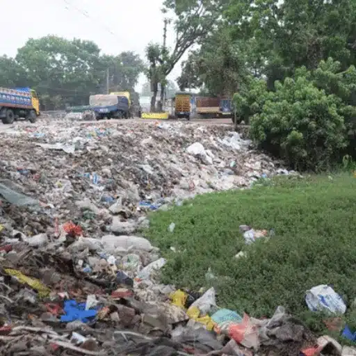 Environmental Impact of Polyethylene Plastic