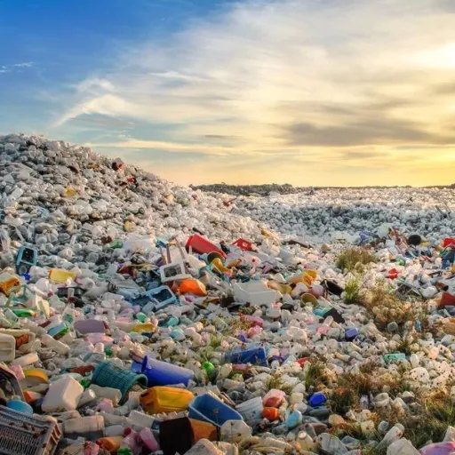 Environmental Impact of Polymer Pellets