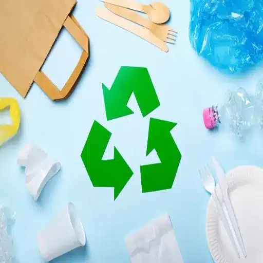 Recycling and Environmental Impact of Plastic Containers