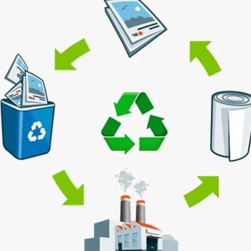 Recycling and Sustainable Practices